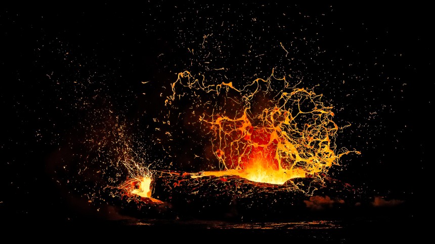 Exposition Wildlife Photographer of the Year