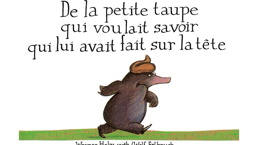 MAIS QUI A BIEN PU LUI FAIRE SUR LA TÊTE ? LA PETITE TAUPE MENE L'ENQUÊTE
