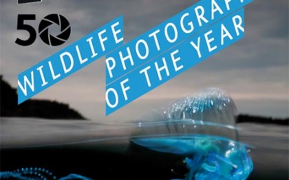 Wildlife Photographer of the Year 2014