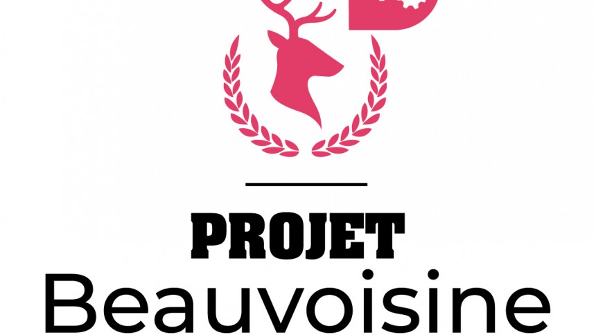 Projet Beauvoisine